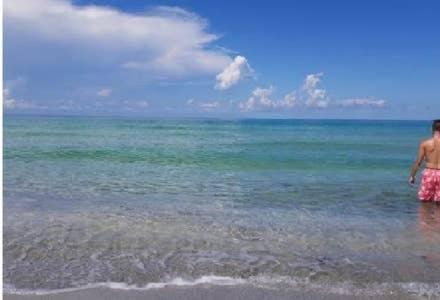 The Monterey Beach Resort St. Pete Beach Exteriér fotografie